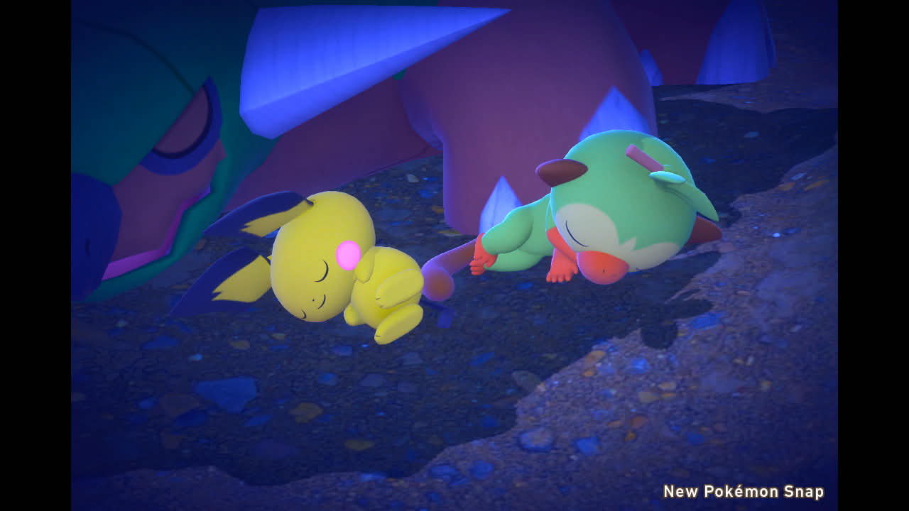 Pokemon Sleeping in the wild